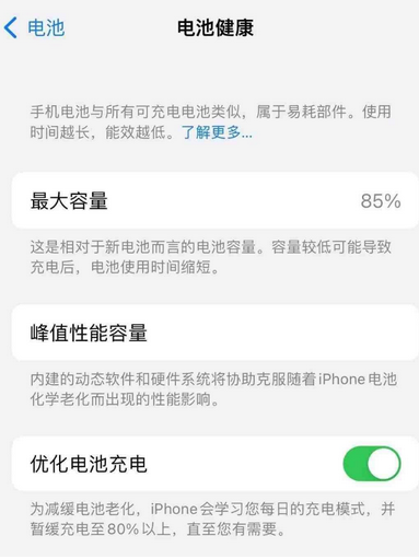 电白苹果手机维修店分享iPhone运行缓慢怎么办 