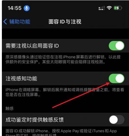 电白苹果14维修网点分享iPhone14注视感知功能有什么用 